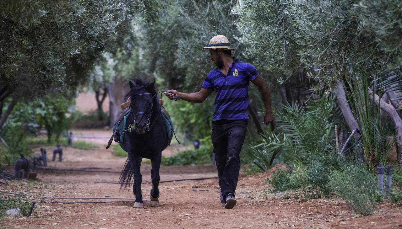 Dar Alfourssane Ferme D'Hote 우아르자자테 외부 사진